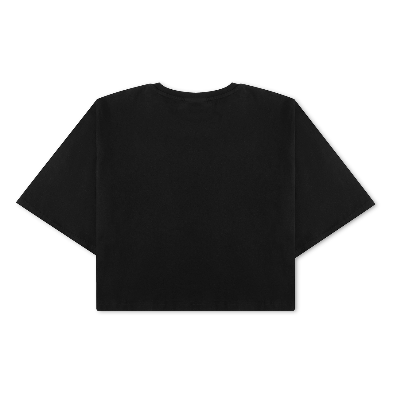 Are You My Dad Crop Top T-Shirt