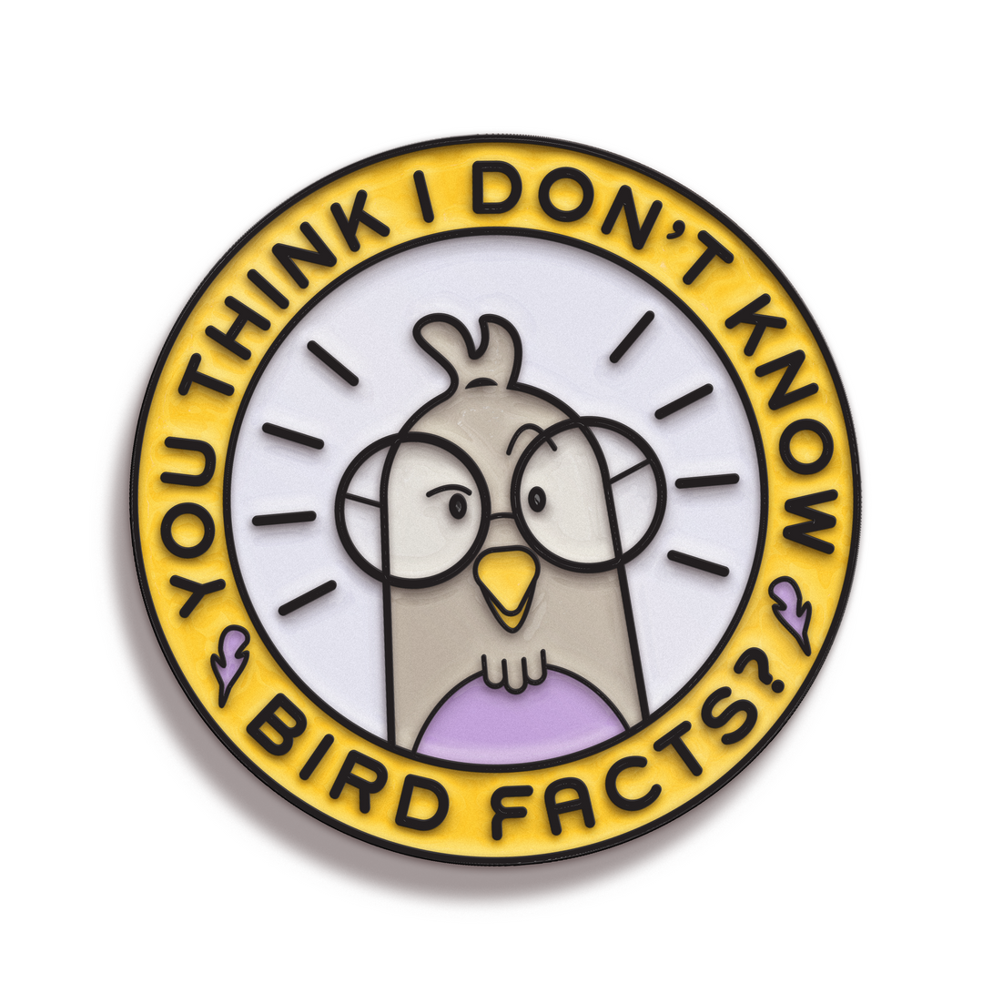 Pin of The Month March: Bird Facts