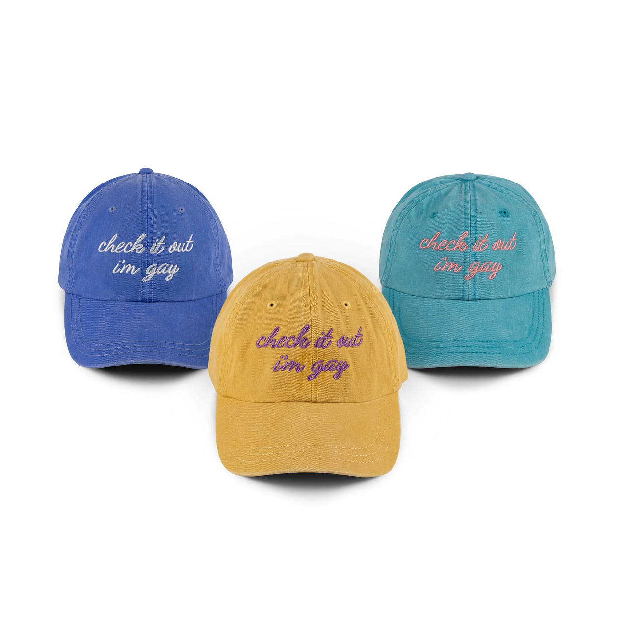 Check It Out I'm Gay Hat